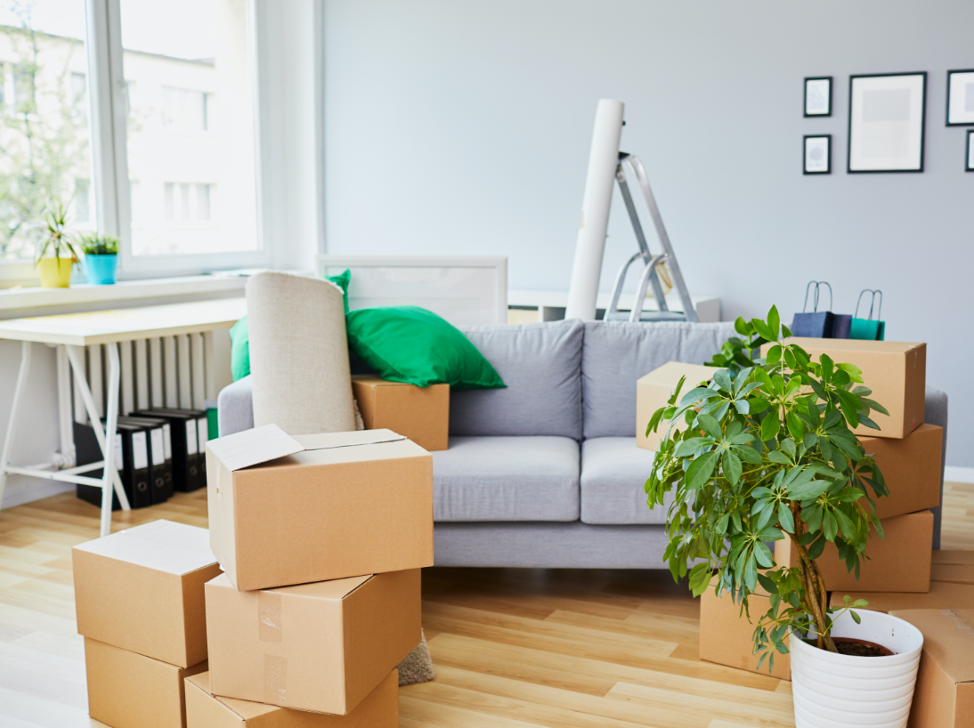 lounge room with couch and packing boxes