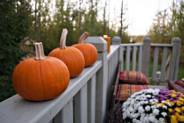 Punpkin lined up on a wooden fence